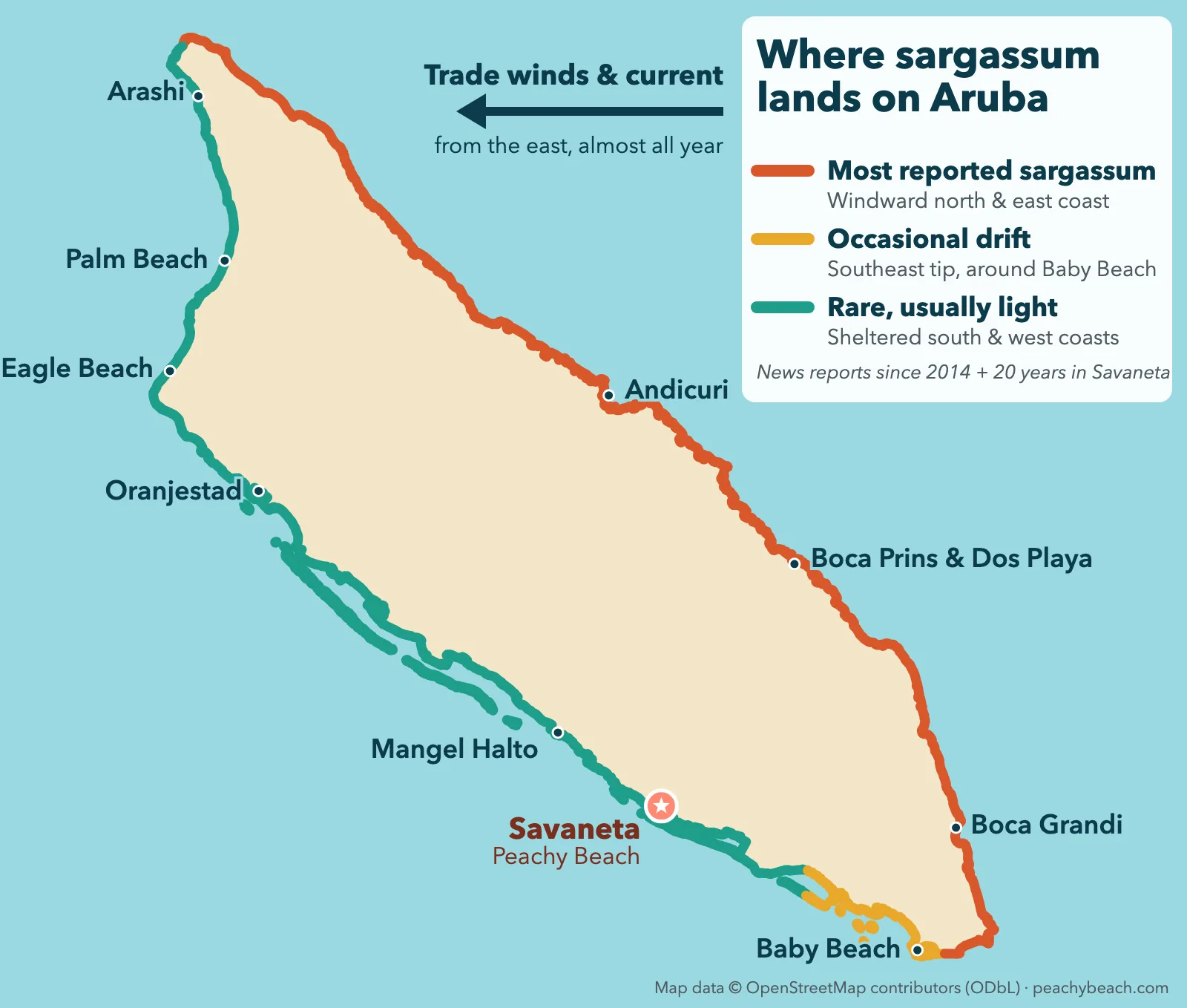 Aruba sargassum map showing where seaweed lands: the windward north and east coast most often, the southeast tip around Baby Beach occasionally, and the sheltered south and west coasts, including Savaneta, Eagle Beach and Palm Beach, rarely