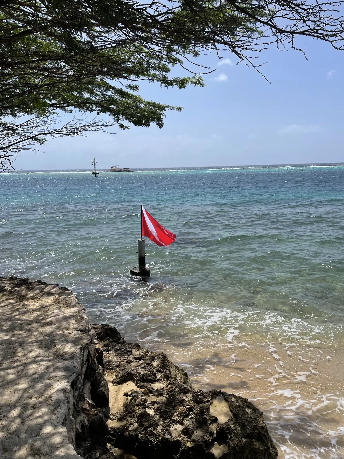 A red-and-white dive flag on a post in the water off Peachy Beach in Savaneta, Aruba, with the reef and the open Caribbean behind it